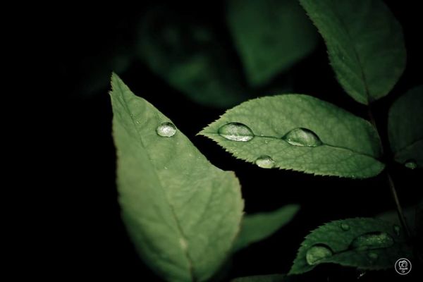 foto:Karen Brigith  Zenteno  Penagos - lo hecho en México