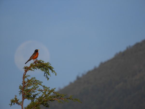 foto:luis perez colotla - lo hecho en México