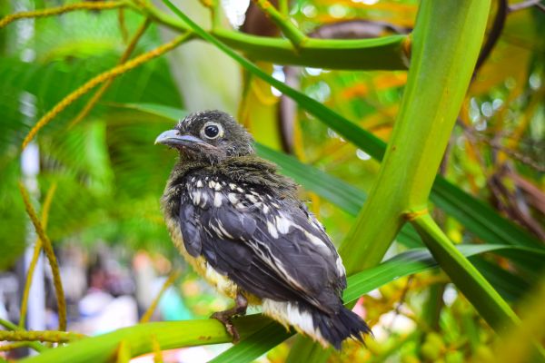 foto:yesenia morales gomez - lo hecho en México