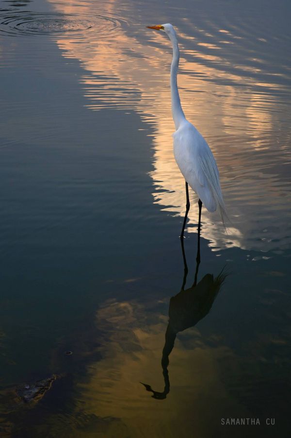 foto:samantha menendez cu - lo hecho en México