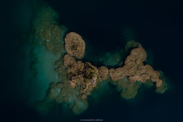 foto:Mauricio Arregui Castro - lo hecho en México