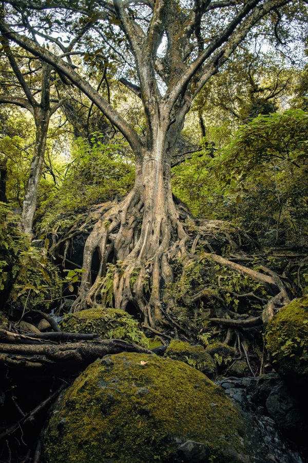 foto:Karime Lopez Diaz - lo hecho en México