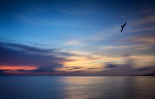 foto:Paul Camhi Contreras  - lo hecho en México