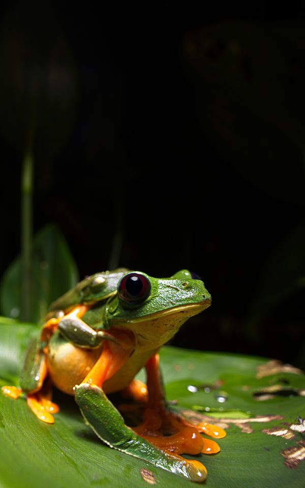 foto:Aldo  López Velázquez - lo hecho en México