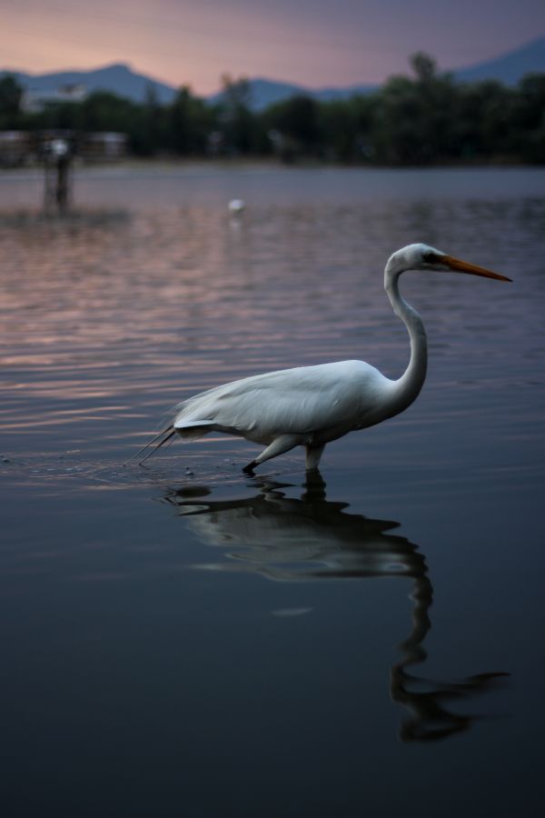 foto:Rubén Ismael  Martínez  Castillo  - lo hecho en México