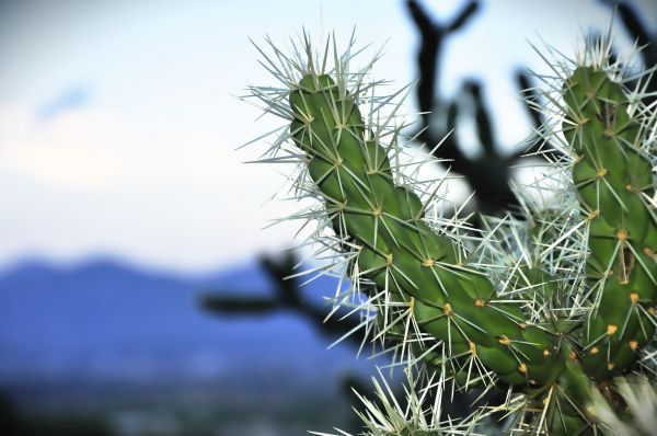 foto:jared ulises  Hernandez zuniga - lo hecho en México