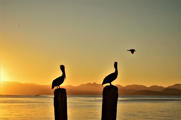foto:Bogar Daniel López Corrales  - lo hecho en México
