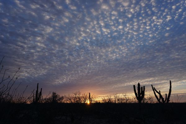 foto:Ruben Gonzalez Palacios - lo hecho en México