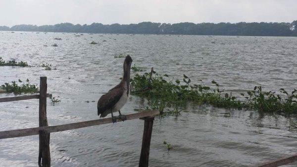foto:Rocío Anahí López Salazar - lo hecho en México