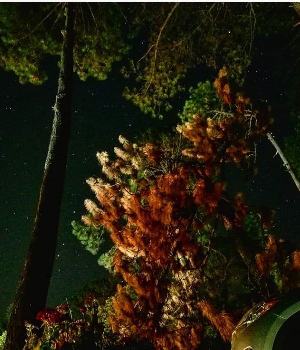 foto:Fernando ALFONSO  Nagore Romero - lo hecho en México