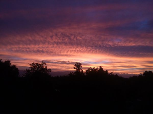 foto:Arturo Maldonado Anguiano - lo hecho en México