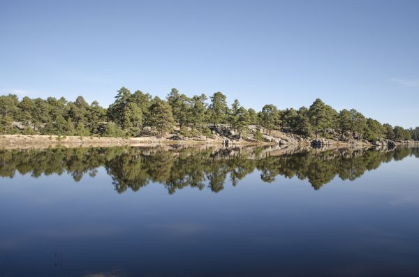 foto:MIRIAM ROCIO DE LEON CONTRERAS - lo hecho en México