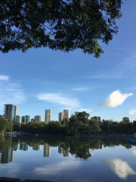 foto:Esther Tenorio Barbosa - lo hecho en México