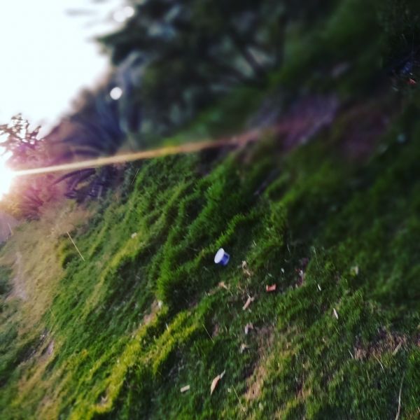 foto:Alberto  Granados  Altamirano  - lo hecho en México