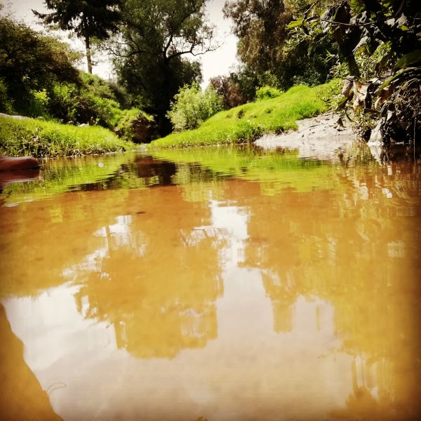 foto:Alberto  Granados  Altamirano  - lo hecho en México