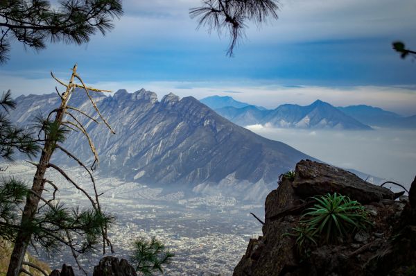 foto:Capullo Maricela Leal Ordoñez - lo hecho en México