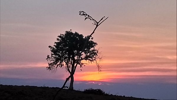 foto:Oscar  Navarro  Méndez  - lo hecho en México