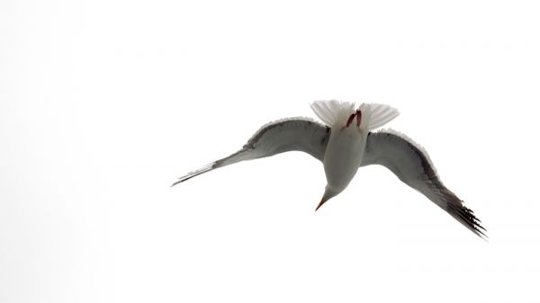 foto:Julio Montfort Marquez - lo hecho en México