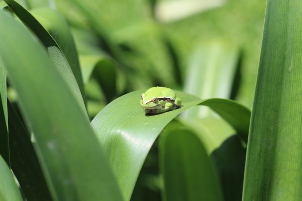foto:Rosa Elena Lozada Fernandez - lo hecho en México