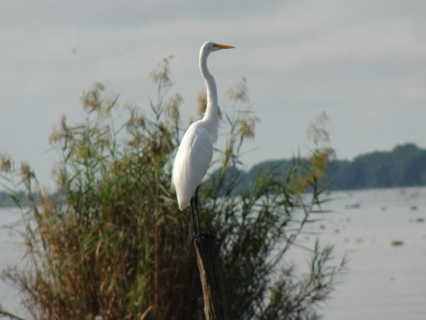 foto:Enedino Leon Hernandez - lo hecho en México