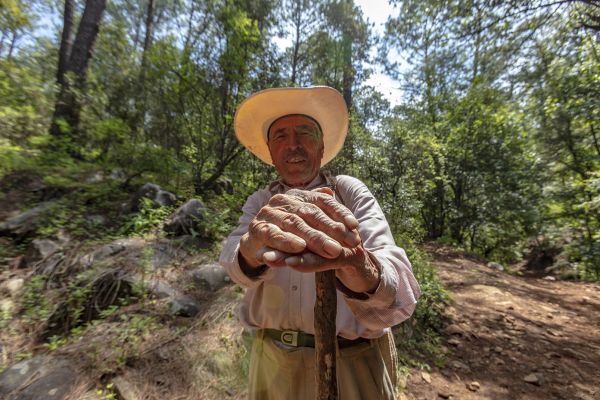 foto:Gliserio Castañeda García  - lo hecho en México