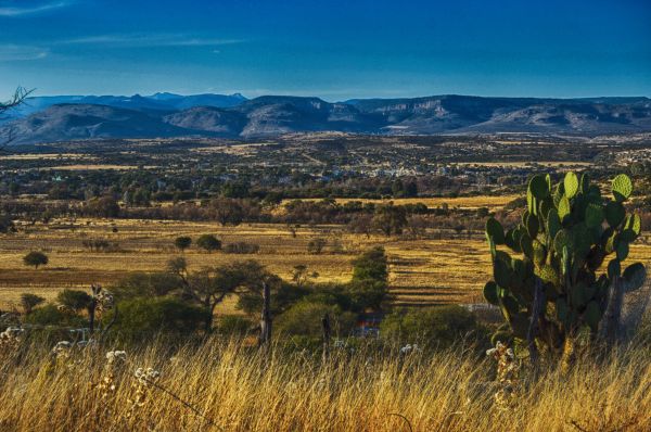 foto:Aranza Estefania Campos  de Robles  - lo hecho en México