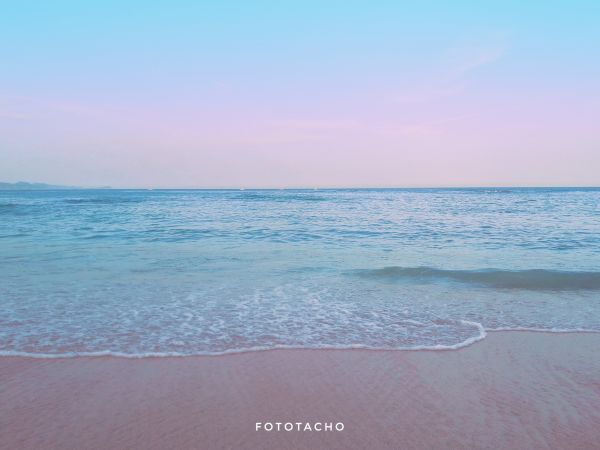 foto:Francisco Javier Armenta  Aguayo - lo hecho en México