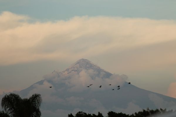 foto:Francisco Roberto  Castillo  Flores - lo hecho en México