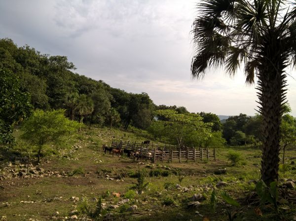 foto:Salvador  Alejo  Trejo  - lo hecho en México