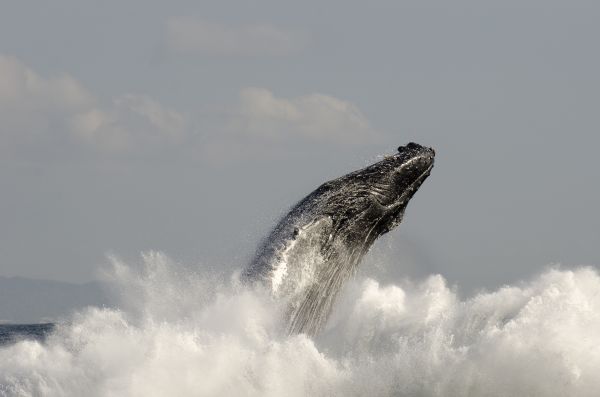 foto:Oscar Sergio Frey Menendez - lo hecho en México