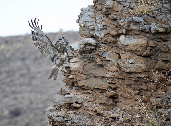 foto:lourdes fernanda grajeda moreno - lo hecho en México