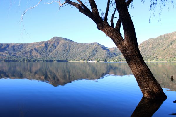 foto:ALFREDO  RODRIGUEZ DAVILA - lo hecho en México