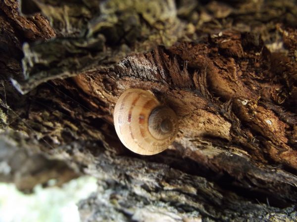 foto:VICTOR DANIEL ESPARRAGOZA AMADOR - lo hecho en México