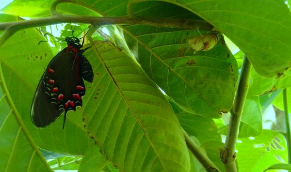 foto:Viridiana Carolina Hernandez Cruz - lo hecho en México