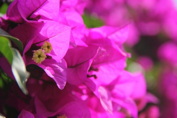 foto:Ivonne Rueda Robles - lo hecho en México