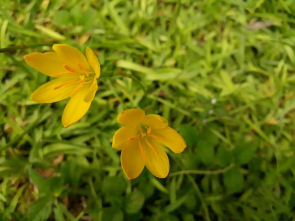 foto:ESTEBAN NAHUM  LOPEZ LARA - lo hecho en México
