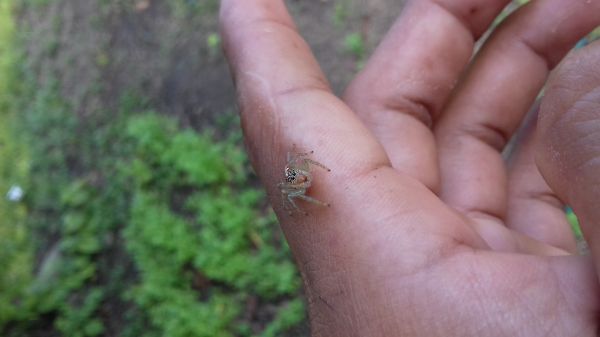 foto:Enrique Lopez Lara - lo hecho en México