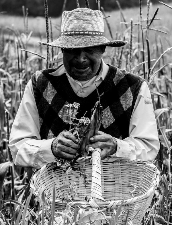 foto:Alejandro Ramón Villegas - lo hecho en México