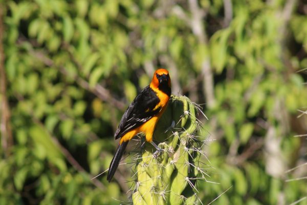 foto:FERNANDO CARMONA GARCIA - lo hecho en México
