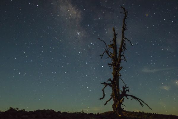 foto:Julian Eduardo Avila Campos - lo hecho en México