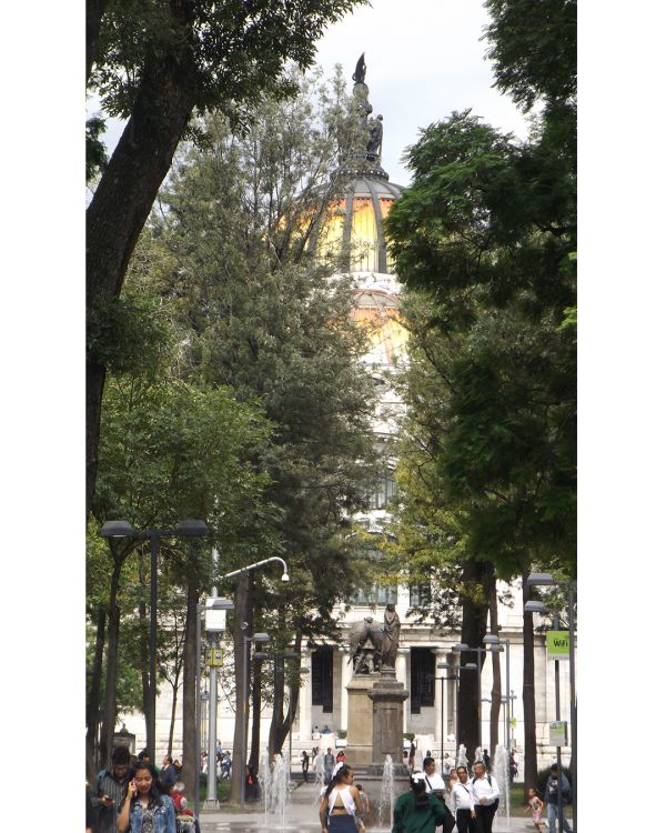 foto:DAVID ALEJANDRO MONTES RUIZ - lo hecho en México