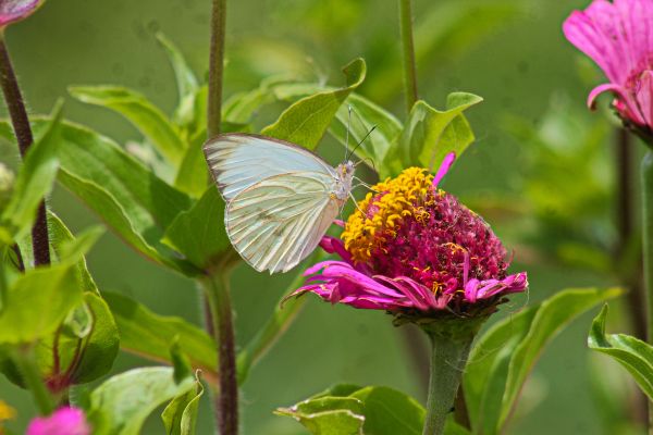 foto:Salvador Valades Gonzalez - lo hecho en México