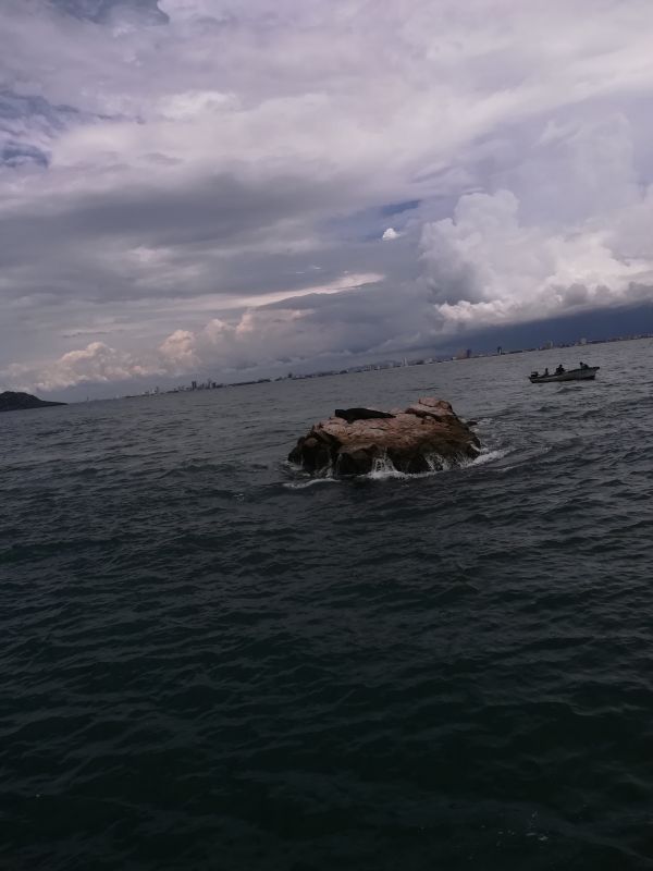 foto:José Ricardo  Reyes  Rodríguez  - lo hecho en México