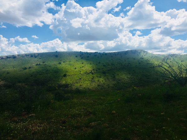 foto:Reyna  Sarrapy  López de Lara  - lo hecho en México