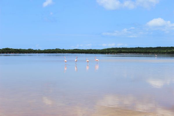 foto:Cecilia De la Mora Gonzalez - lo hecho en México