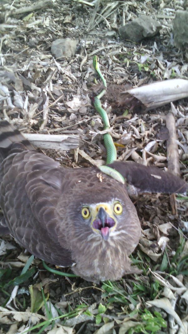 foto:Nicolas Hernandez Bautista - lo hecho en México