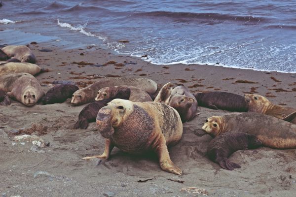 foto:ALDO IGNACIO ROMERO ARCE - lo hecho en México