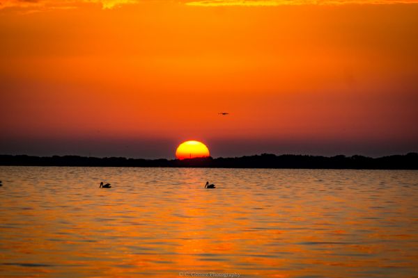 foto:Carlos Enrique Gómez  Robles - lo hecho en México