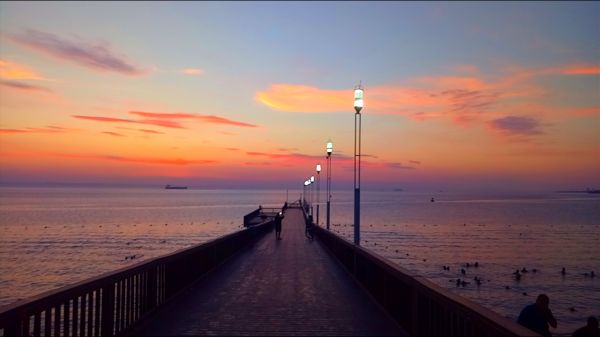 foto:Luis Fernando  Avilés  Ortega  - lo hecho en México
