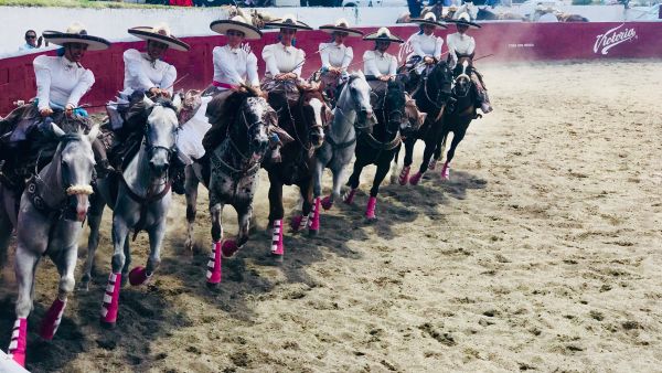 foto:Ximena Guadalupe  Chavez  Ruiz - lo hecho en México